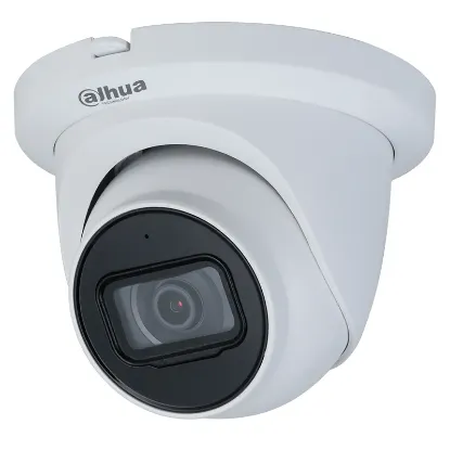 Immagine di IPC-HDW2431T-ZS